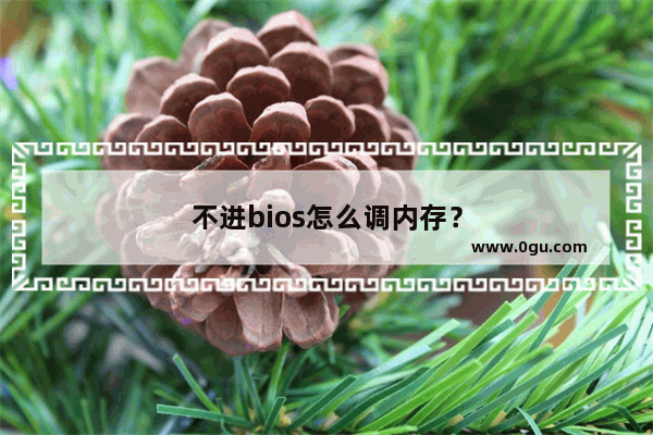 不进bios怎么调内存？