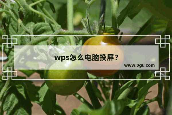 wps怎么电脑投屏？