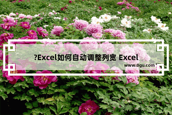 ?Excel如何自动调整列宽 Excel表格根据内容自动调整使用列宽的方法教程