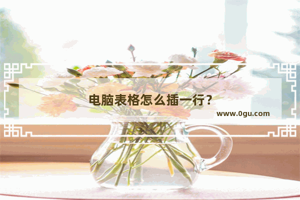 电脑表格怎么插一行？