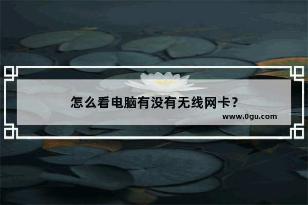 怎么看电脑有没有无线网卡？