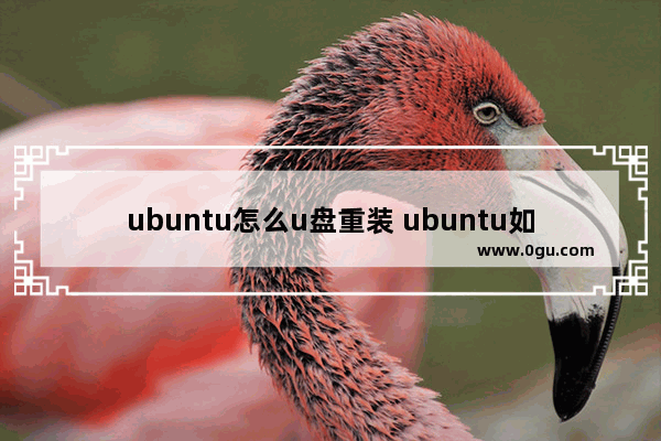 ubuntu怎么u盘重装 ubuntu如何重装