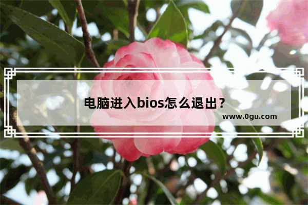 电脑进入bios怎么退出？