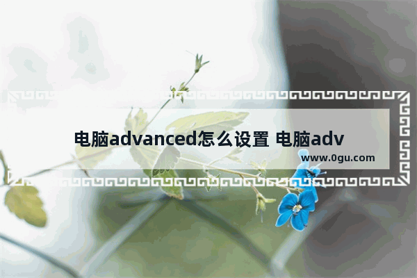 电脑advanced怎么设置 电脑advanced怎么设置中文