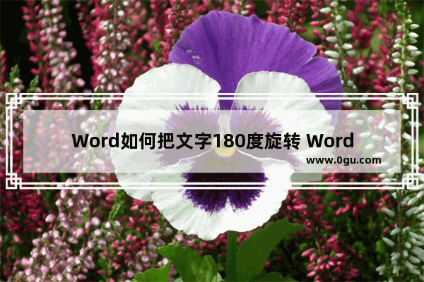 Word如何把文字180度旋转 Word把文字180度旋转的方法