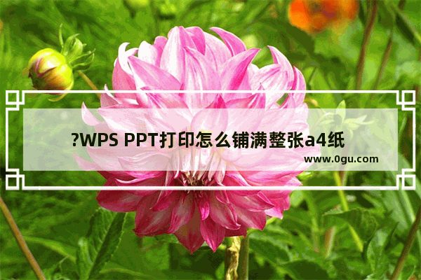 ?WPS PPT打印怎么铺满整张a4纸 WPS演示文稿打印在A4纸的方法教程