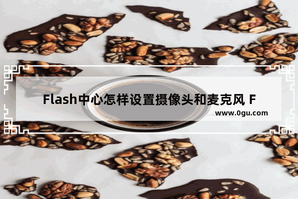 Flash中心怎样设置摄像头和麦克风 Flash中心设置摄像头和麦克风的方法