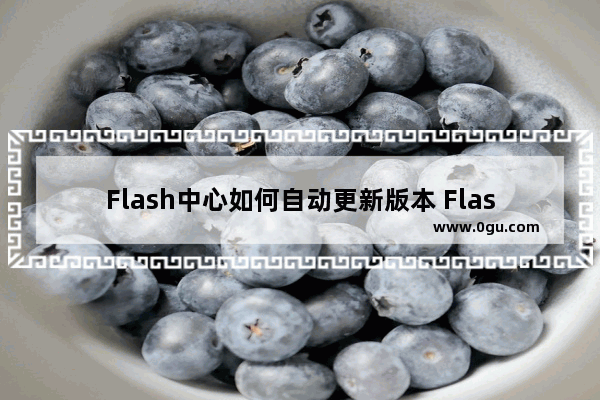 Flash中心如何自动更新版本 Flash中心设置自动更新版本的方法