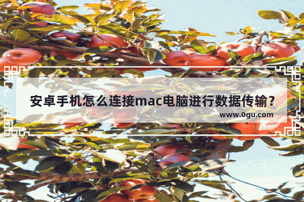 安卓手机怎么连接mac电脑进行数据传输？