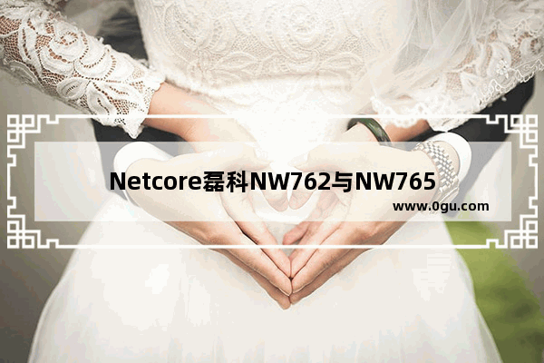 Netcore磊科NW762与NW765无线路由器设置上网