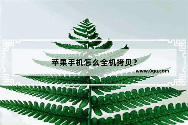 苹果手机怎么全机拷贝？