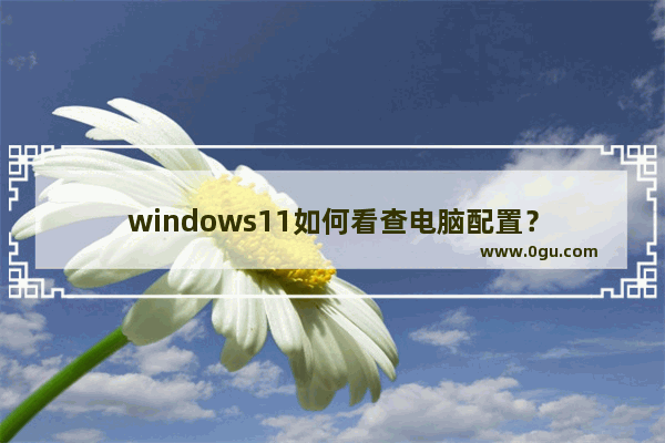 windows11如何看查电脑配置？