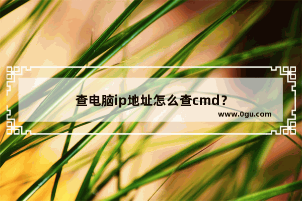 查电脑ip地址怎么查cmd？