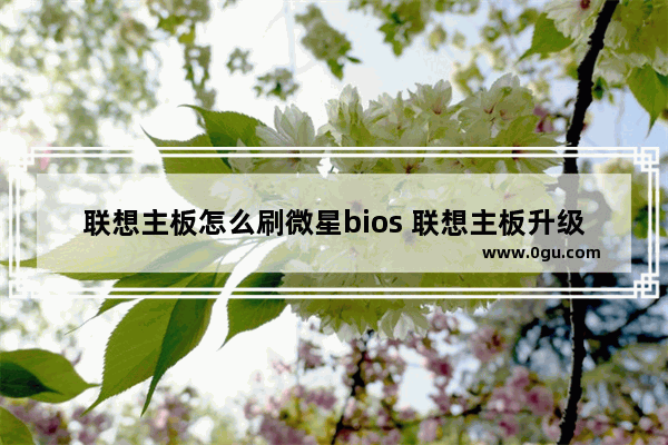 联想主板怎么刷微星bios 联想主板升级bios怎么升级