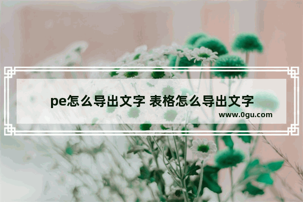 pe怎么导出文字 表格怎么导出文字