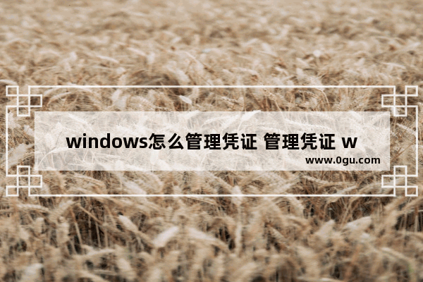 windows怎么管理凭证 管理凭证 win10