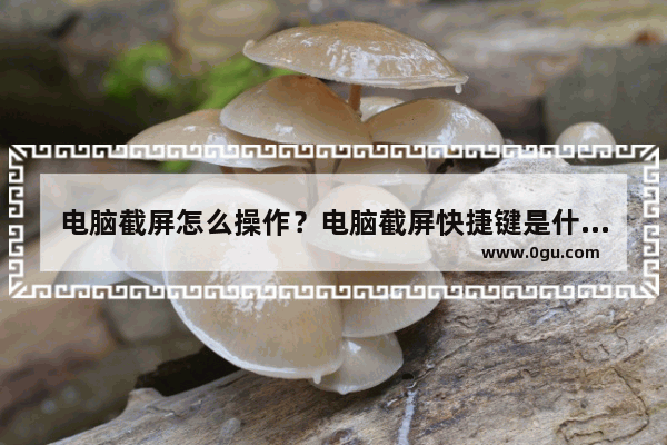 电脑截屏怎么操作？电脑截屏快捷键是什么？