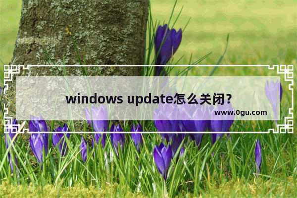 windows update怎么关闭？