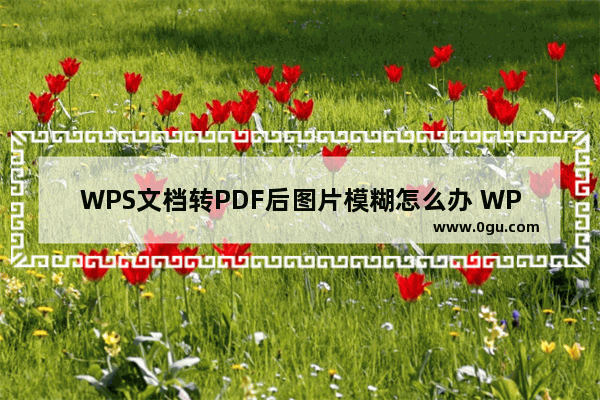 WPS文档转PDF后图片模糊怎么办 WPS Word文档转PDF后图片模糊的解决方法