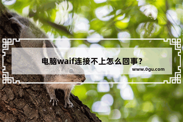 电脑waif连接不上怎么回事？