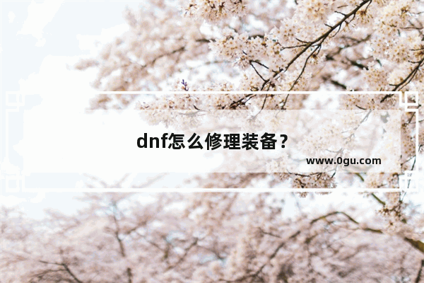 dnf怎么修理装备？