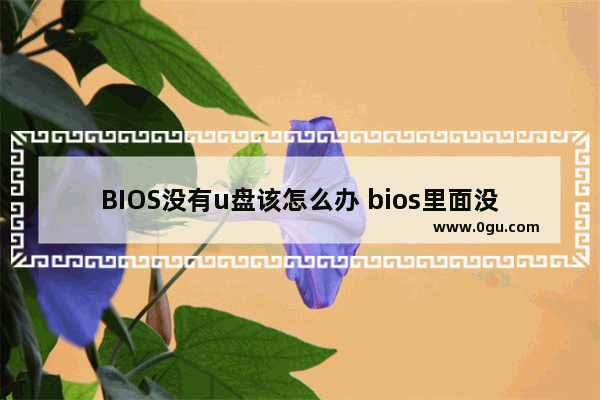 BIOS没有u盘该怎么办 bios里面没有u盘启动怎么办