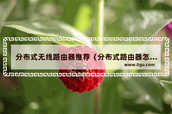 分布式无线路由器推荐（分布式路由器怎么安装）