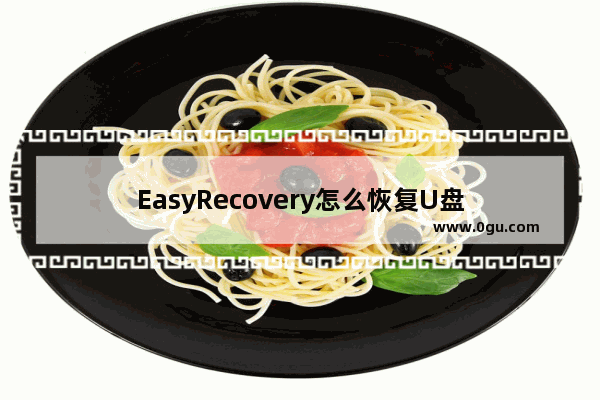 EasyRecovery怎么恢复U盘