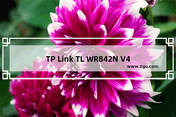 TP Link TL WR842N V4 无线路由器WiFi名称密码设置