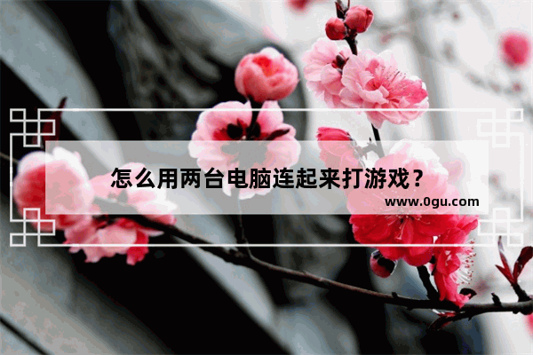 怎么用两台电脑连起来打游戏？