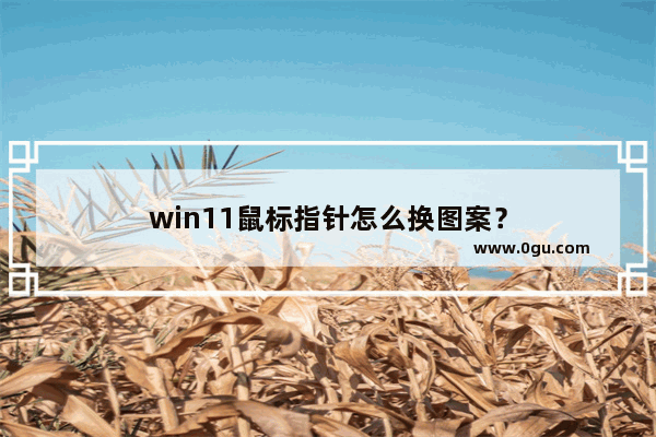 win11鼠标指针怎么换图案？