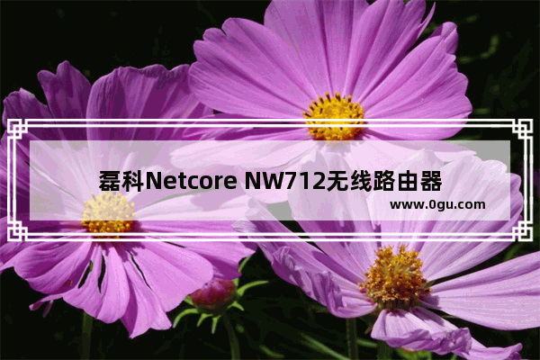 磊科Netcore NW712无线路由器怎么设置图文方法