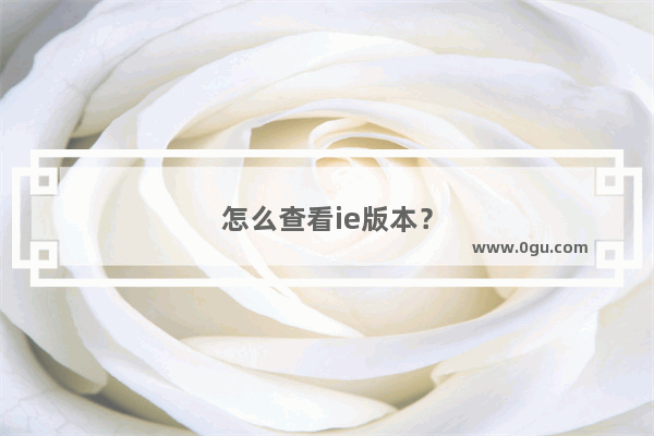 怎么查看ie版本？