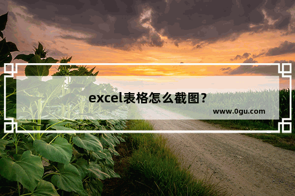 excel表格怎么截图？