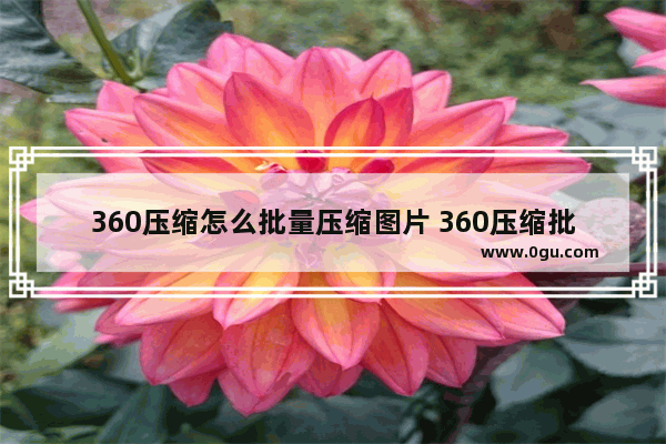 360压缩怎么批量压缩图片 360压缩批量压缩图片的方法