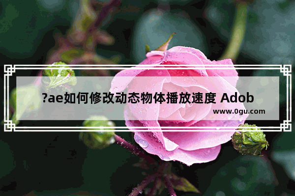 ?ae如何修改动态物体播放速度 Adobe after effects调整动态效果速度的方法教程