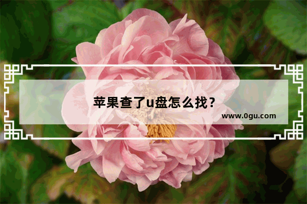 苹果查了u盘怎么找？