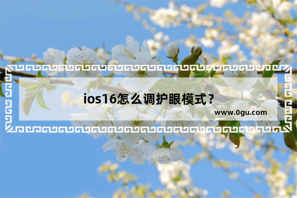 ios16怎么调护眼模式？