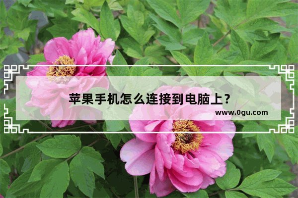 苹果手机怎么连接到电脑上？