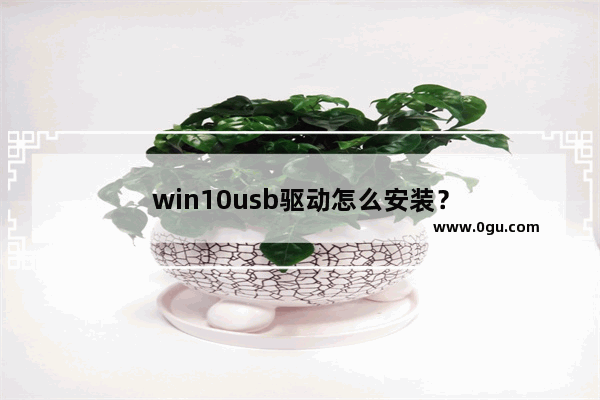 win10usb驱动怎么安装？