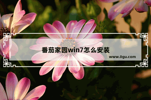 番茄家园win7怎么安装