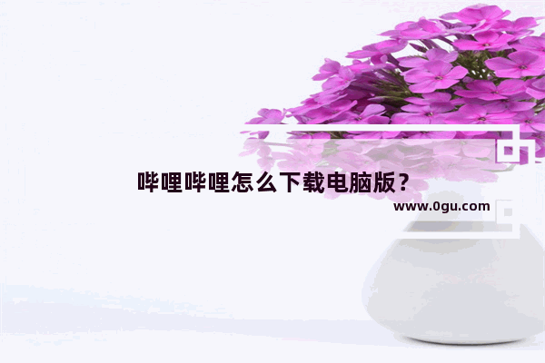 哔哩哔哩怎么下载电脑版？