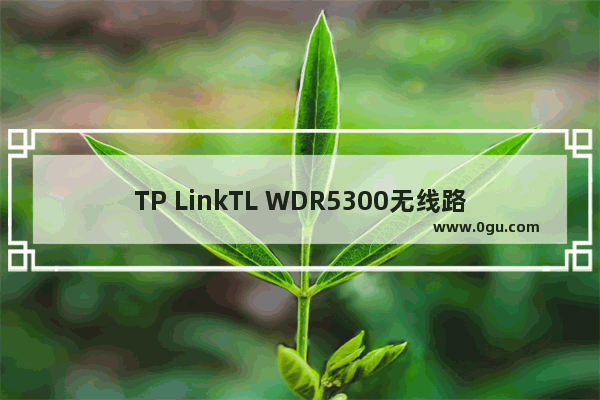 TP LinkTL WDR5300无线路由器无线桥接（WDS）如何设置【图文】