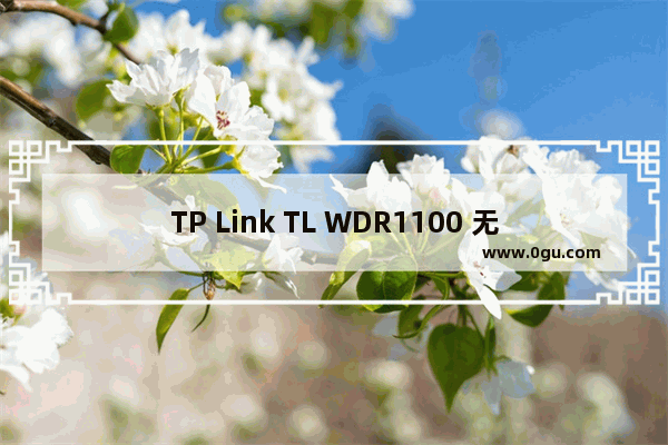 TP Link TL WDR1100 无线路由器映射服务器到外网方法