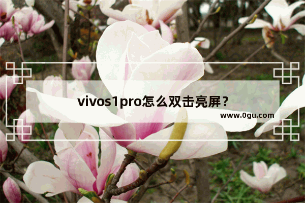 vivos1pro怎么双击亮屏？