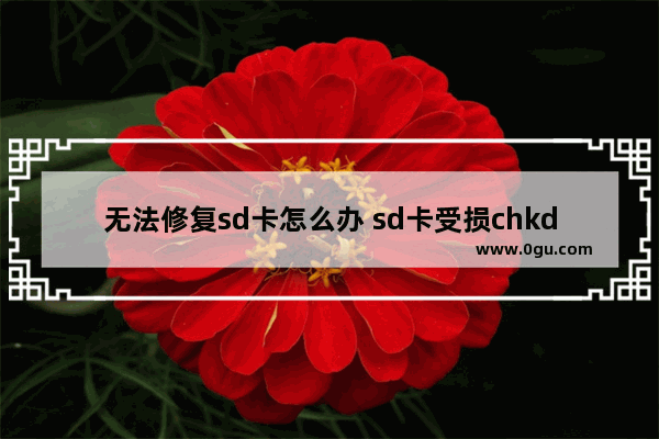 无法修复sd卡怎么办 sd卡受损chkdsk无法修复