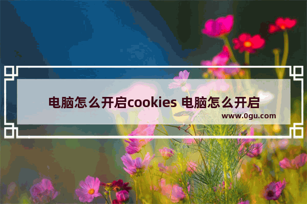 电脑怎么开启cookies 电脑怎么开启cookie功能