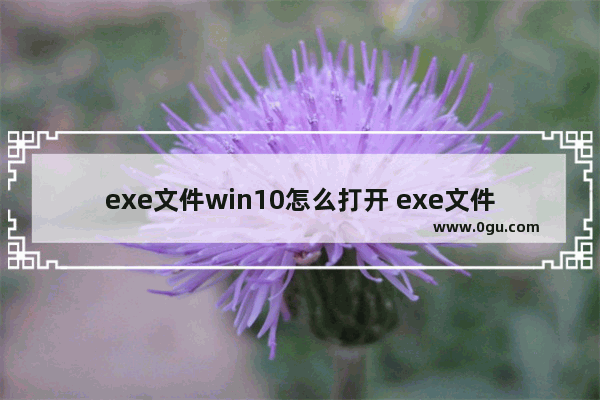 exe文件win10怎么打开 exe文件电脑怎么打开win10