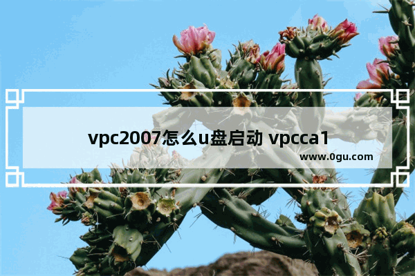 vpc2007怎么u盘启动 vpcca112t u盘启动