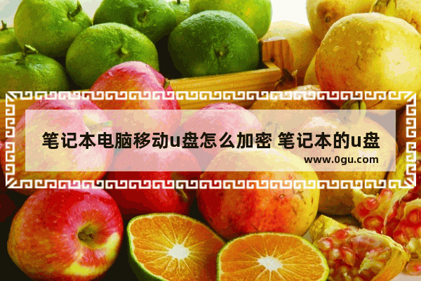 笔记本电脑移动u盘怎么加密 笔记本的u盘